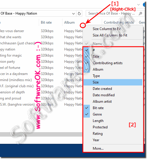 Add and maintain custom columns in File Explorer Windows 10!
