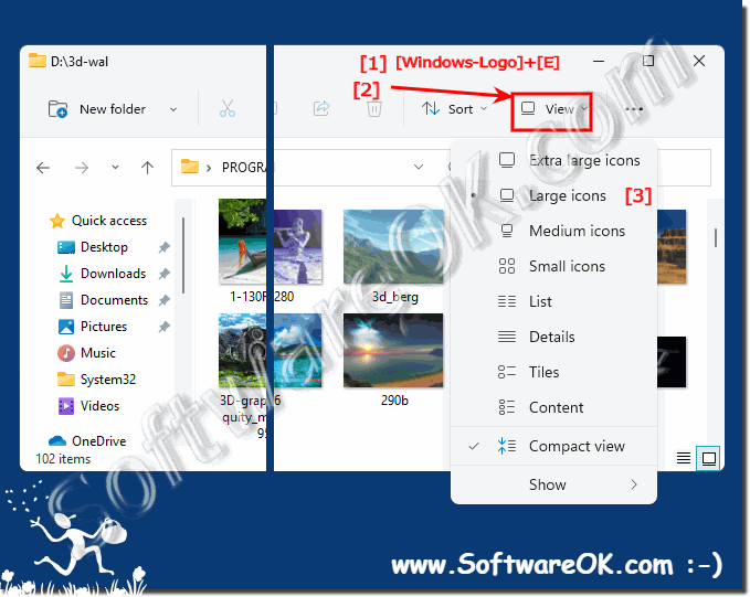 The quick preview in new File Explorer on Windows 11!