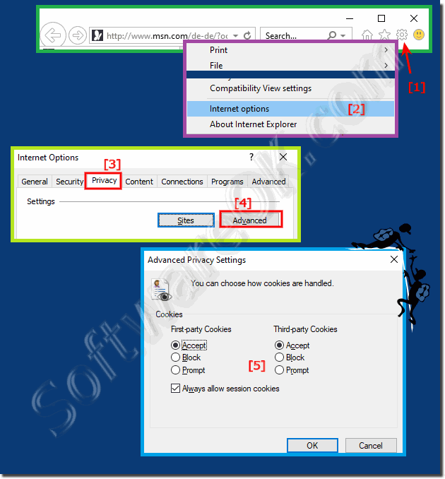 Adjust Internet Explorer 11 and cookies settings!