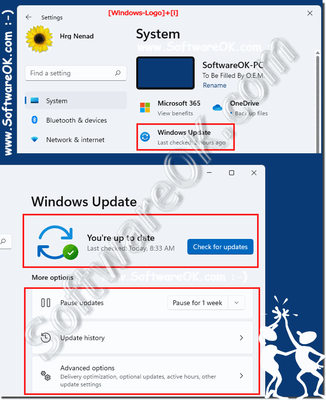 Update in the settings of Windows 11!