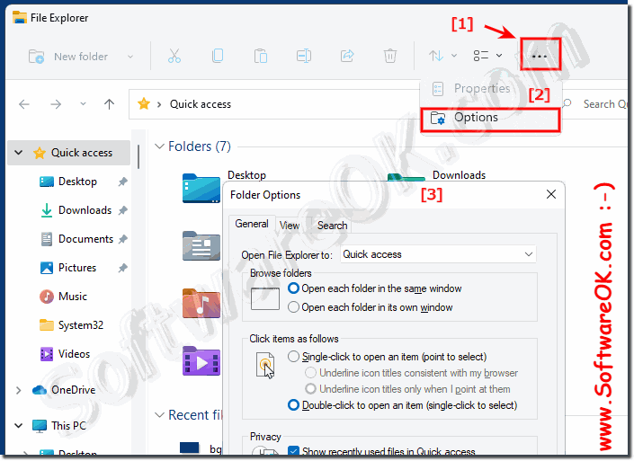 Windows 11 folder options in file explorer menu!