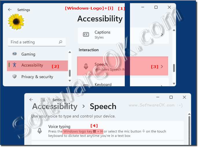 Find Voice Typing Windows 11?