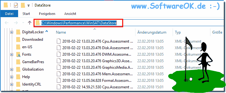 Performance Index folder on Windows 10!