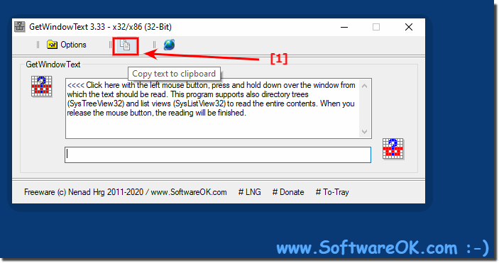 GetWindowText Copy Text To Clipboard