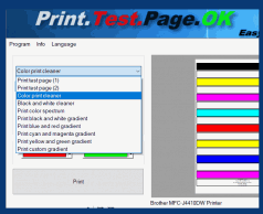 Alternative test page printout for Windows OS