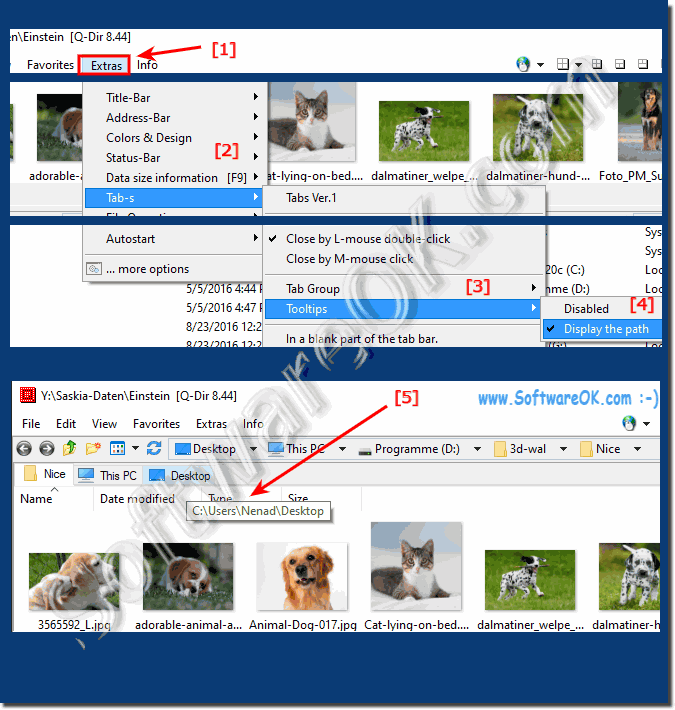 Full Folder Path in explorer window Tabs!