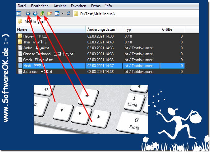 Navigation exclusively with the arrow keys in Quad Explorer!