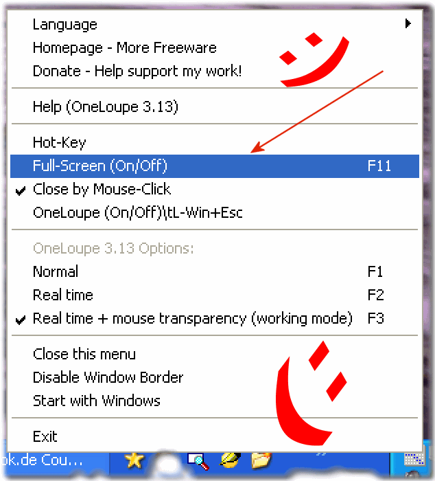 Full Screen function in the Magnifier in Windows XP