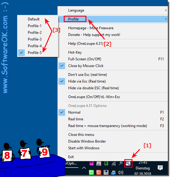 Multiple INI files to save the magnifier settings!