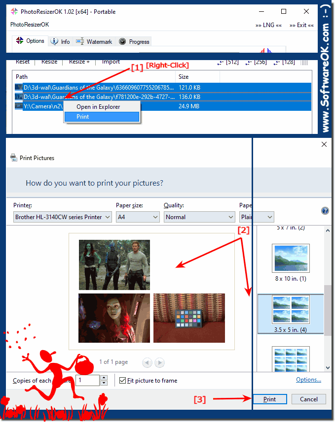 MS Explorer print function in the image reduction tool!