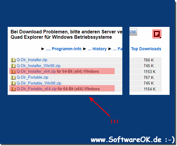 Quad File Explorer Q-Dir x64!