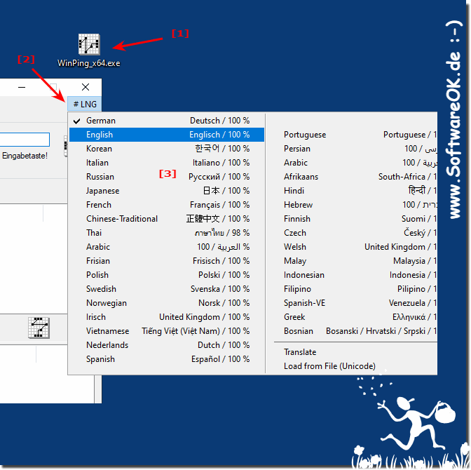 The Windows ping tool is in the wrong language!