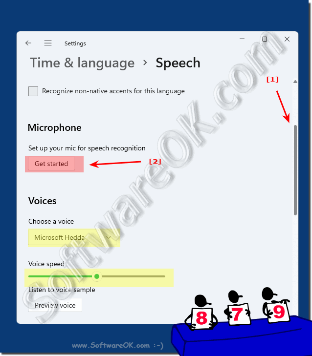 Customoce Voice control on windows 11!