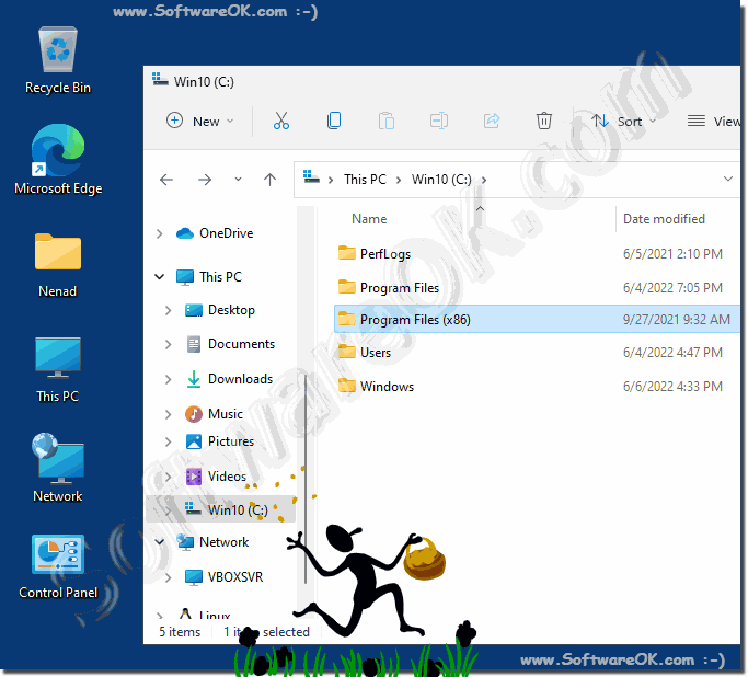 The program files (x86) on Windows 11!