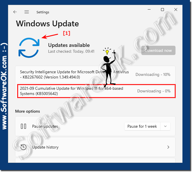 Updates are available under Windows 11!