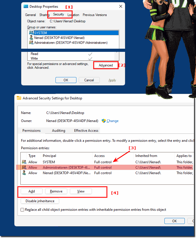 Setting up ownership of files and folders in Windows 11, 10, ..?