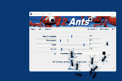 12-Ants or more for your desktop.