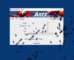 12-Ants or more for your desktop.