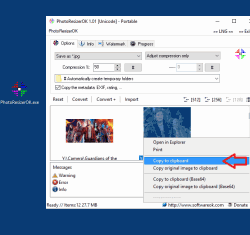 PhotoResizerOK 2 Move the scaled-down photo with watermark to the clipboard  