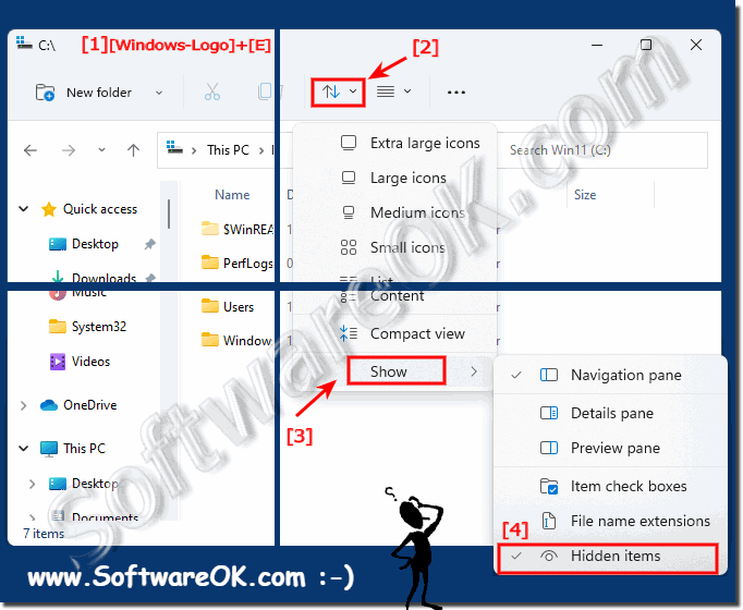 Show hidden files in Windows 11 File Explorer!