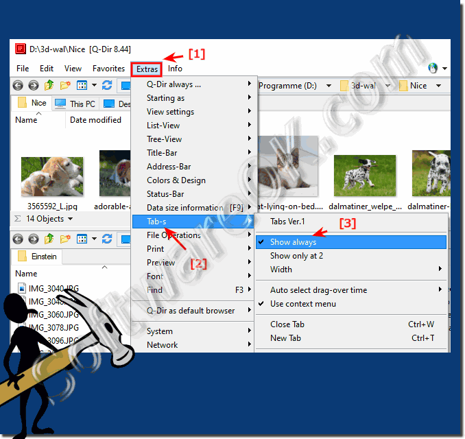 Set Explorer tabs so that they are always visible!