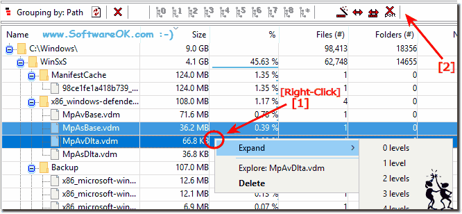 Delete the Largest files of the hard disk!