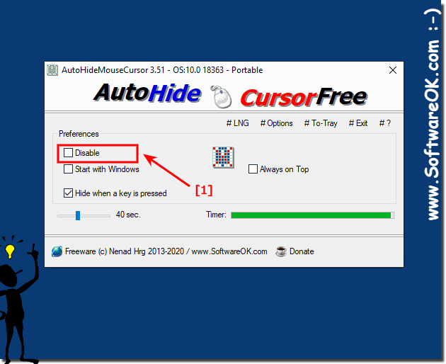 Disable Mouse pointer to constantly gone on Windows!