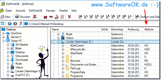 File attributes for the respective file