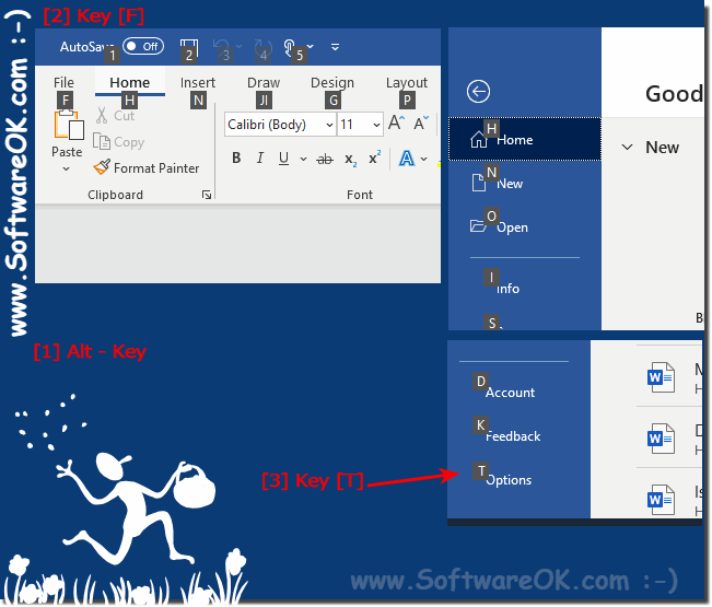 Keyboard shortcuts in MS Office to open the options!