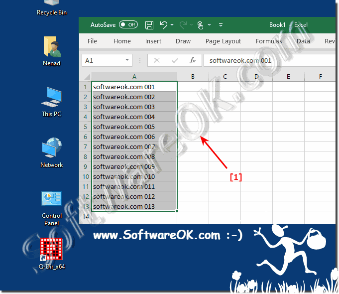 Paste the same text into multiple Excel cells at the same time!