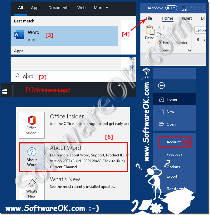 What version of MS Office do I have?