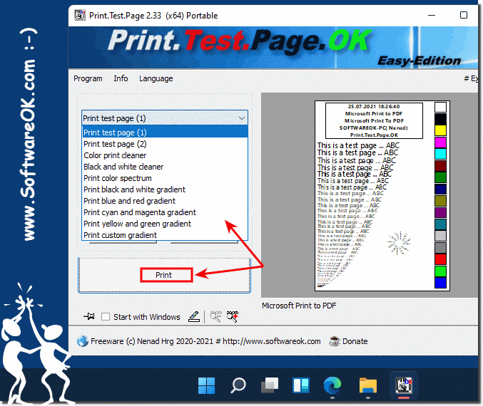 Can I Still Print Test Pages On Windows 11 Home And Pro