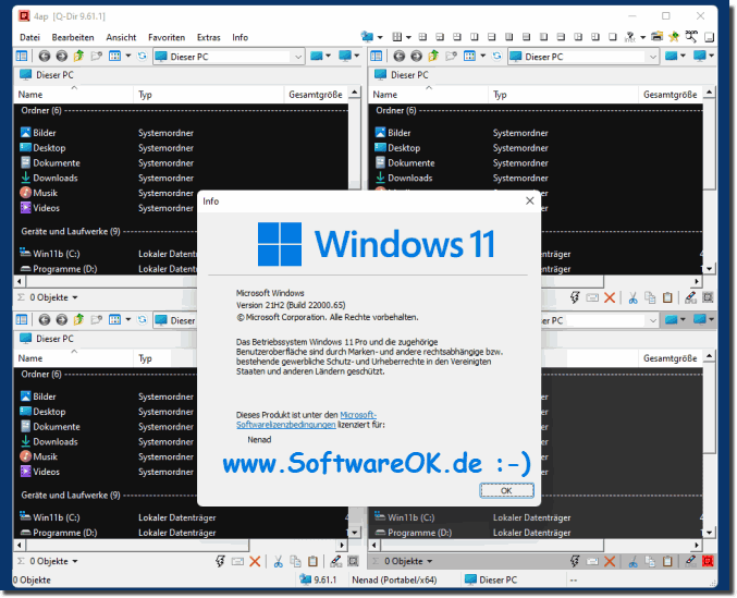 Quad Explorer Q-Dir on Windows 11!