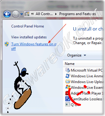 deactivate the Internet Explorer 8  in Windows 7 over Windows 7 Programs