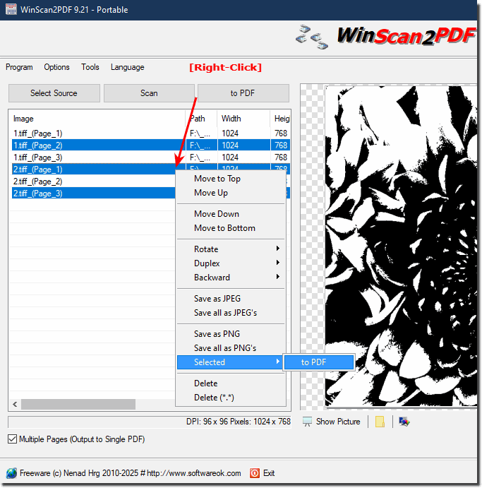 Export / convert only marked pages to PDF file!?
