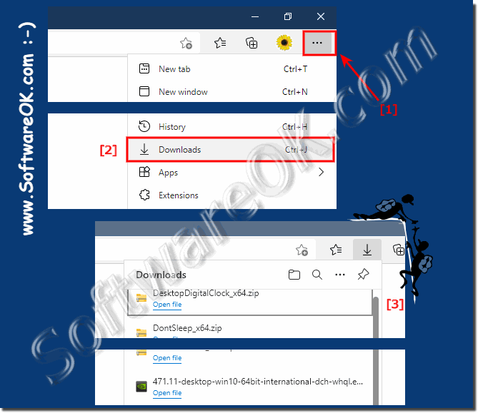 Windows 11 a downloaded program or APP in EDGE! 