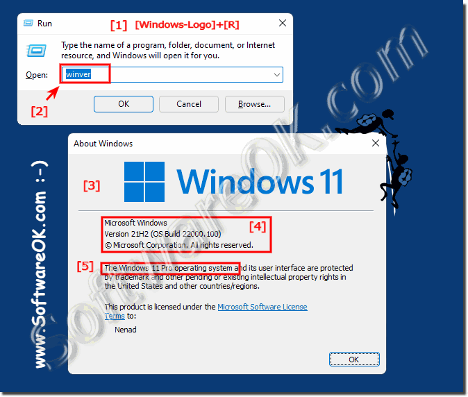 See  the Windows 11 version and build number!