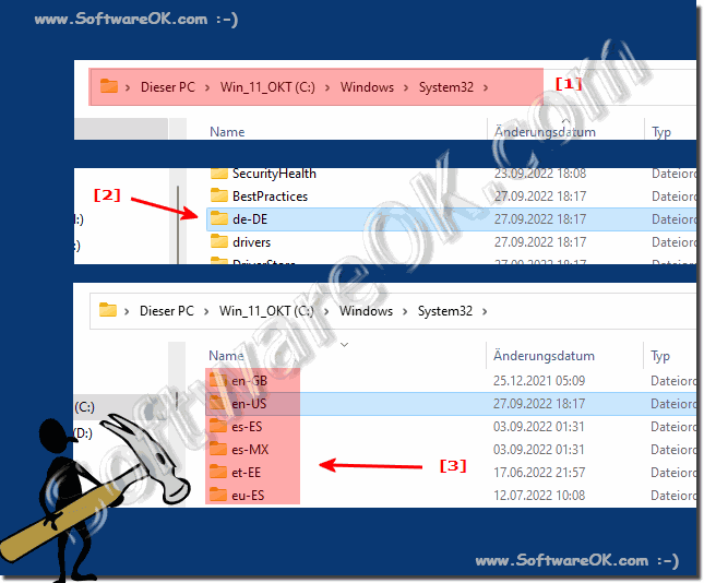 Windows 11 language files!