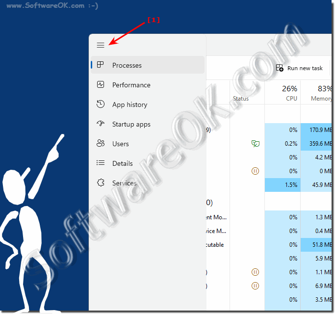 Windows 11 task manager and the tabs!